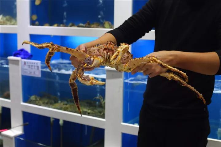 【時代儒商】膠東碼頭海鮮城淮揚菜、魯菜、海鮮超多美味！滿足您的味蕾~~
