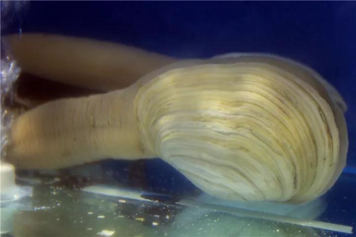 【時代儒商】膠東碼頭海鮮城淮揚菜、魯菜、海鮮超多美味！滿足您的味蕾~~