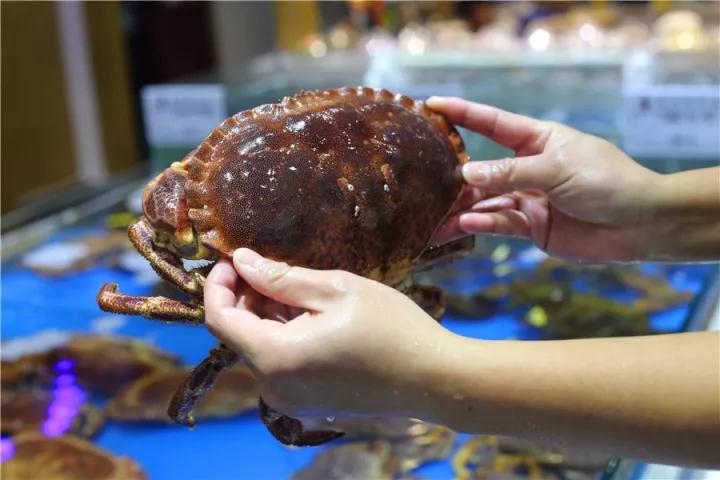 【時代儒商】膠東碼頭海鮮城淮揚菜、魯菜、海鮮超多美味！滿足您的味蕾~~