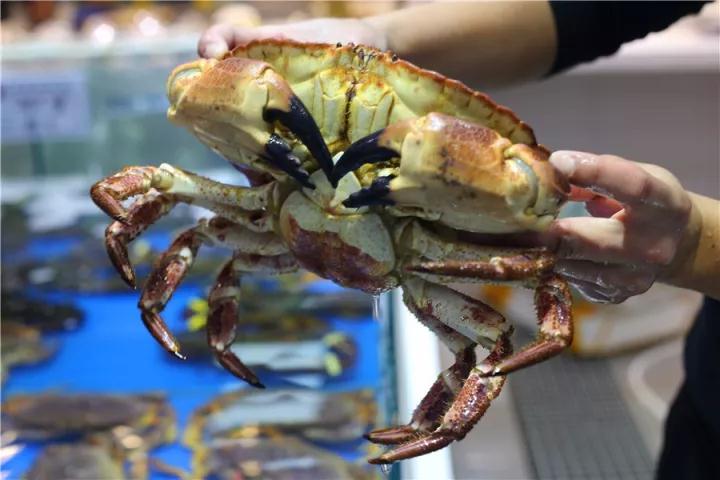 【時代儒商】膠東碼頭海鮮城淮揚菜、魯菜、海鮮超多美味！滿足您的味蕾~~