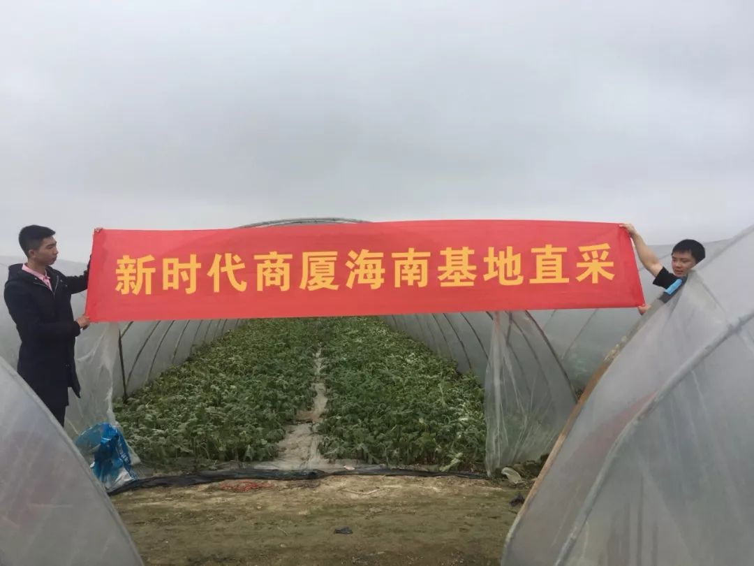 新時(shí)代商廈｜誠(chéng)信315 信用讓消費(fèi)更放心！